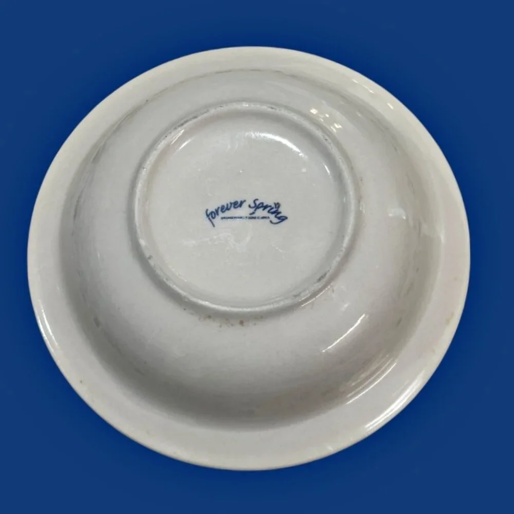 Forever Spring Stoneware Side Bowls Set of 4 Cereal Soup Fruit Dessert Vintage